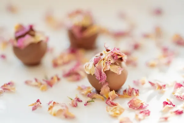 Bet9 Kasino Apl Android/iOS